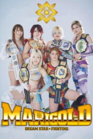 Dream Star Fighting MARIGOLD