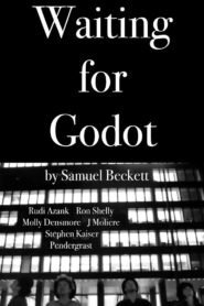 Waiting for Godot